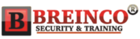 breingo logo