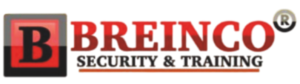 breingo logo